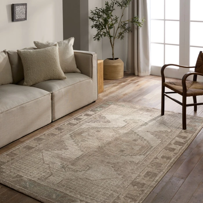 Jaipur Living Theo Brown Tho04 7 Ft. 9 In. X 9 Ft. 9 In. Rect. Rug