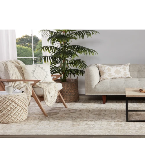 Jaipur Living Valentin Oriental Cream/ Light Gray Area Rug (7'10"X10'10")