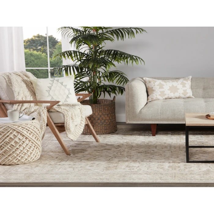 Jaipur Living Valentin Oriental Cream/ Light Gray Area Rug (7'10"X10'10")