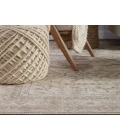 Jaipur Living Valentin Oriental Cream/ Light Gray Area Rug (7'10"X10'10")