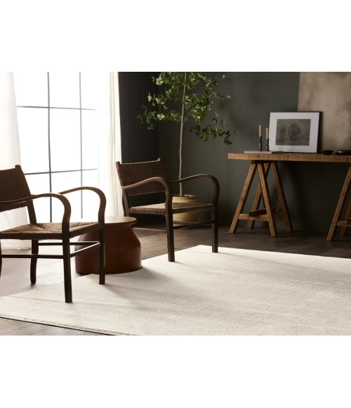 Jaipur Living Ziyad Cream ZIY03 5 ft. X 8 ft. Rectangle Rug