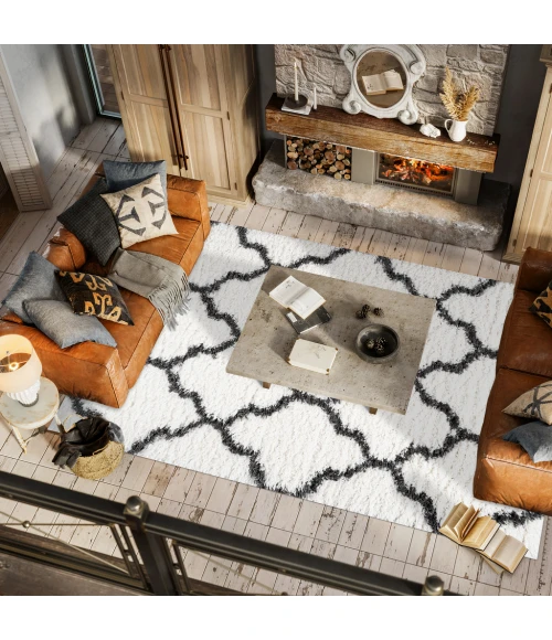 Marrakesh Shag Trellis Ivory/Charcoal 5 ft. x 8 ft. Area Rug