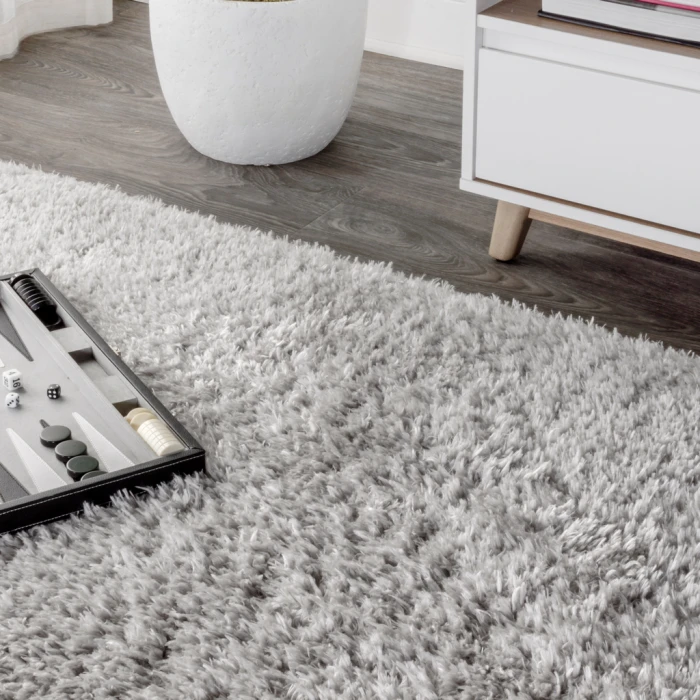 Aydin Solid Plush Shag Gray 3 ft. x 5 ft. Area Rug