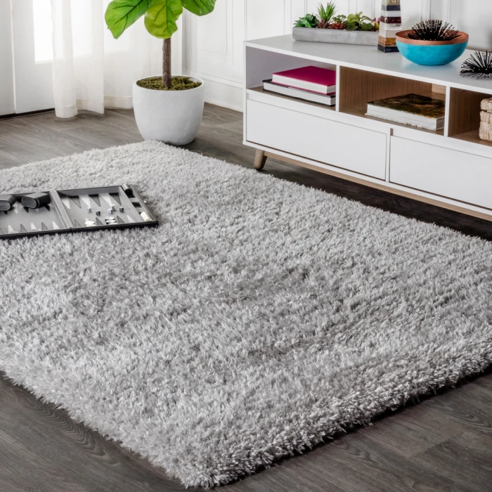 Aydin Solid Plush Shag Gray 3 ft. x 5 ft. Area Rug