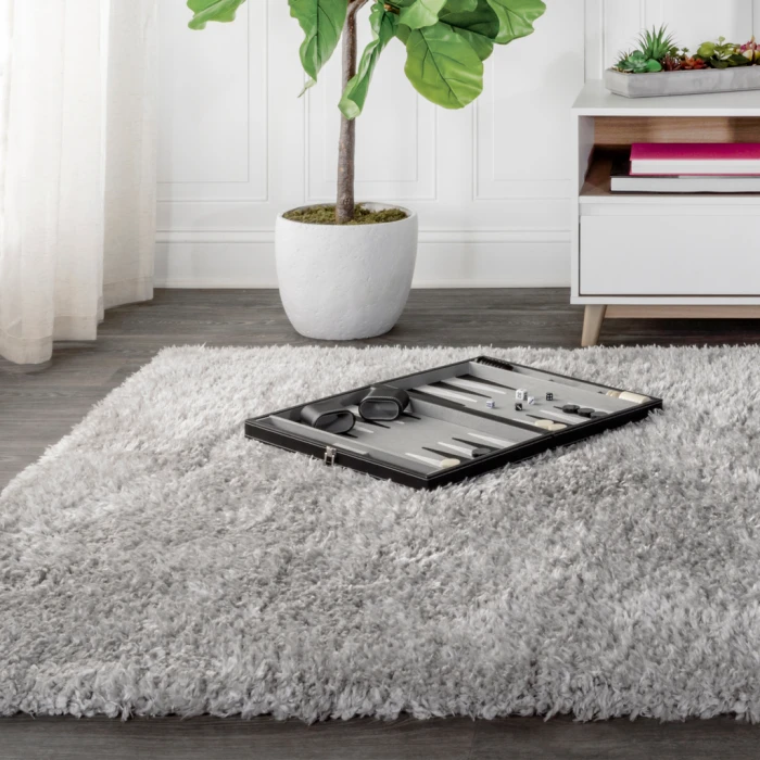 Aydin Solid Plush Shag Gray 3 ft. x 5 ft. Area Rug