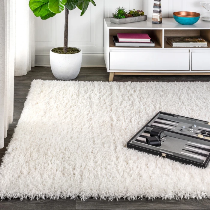 Aydin Solid Plush Shag Ivory 5 ft. x 8 ft. Area Rug