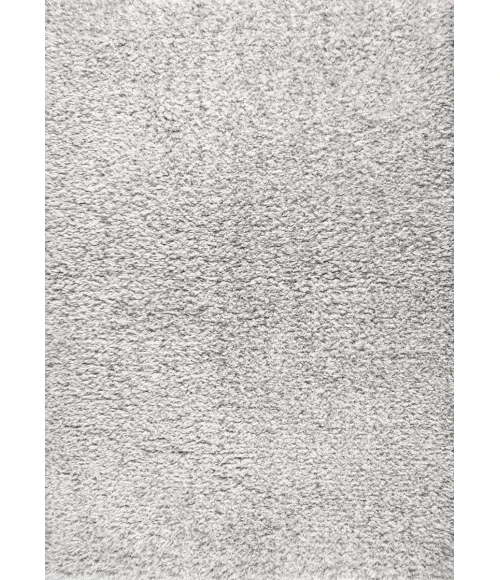 Aydin Plush Shag Mingled Gray/Ivory 4 ft. x 6 ft. Area Rug