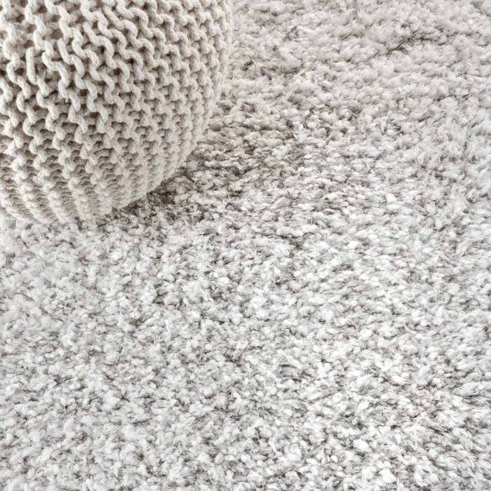 Aydin Plush Shag Mingled Gray/Ivory 3 ft. x 5 ft. Area Rug