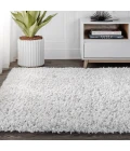 Aydin Plush Shag Mingled Gray/Ivory 4 ft. x 6 ft. Area Rug