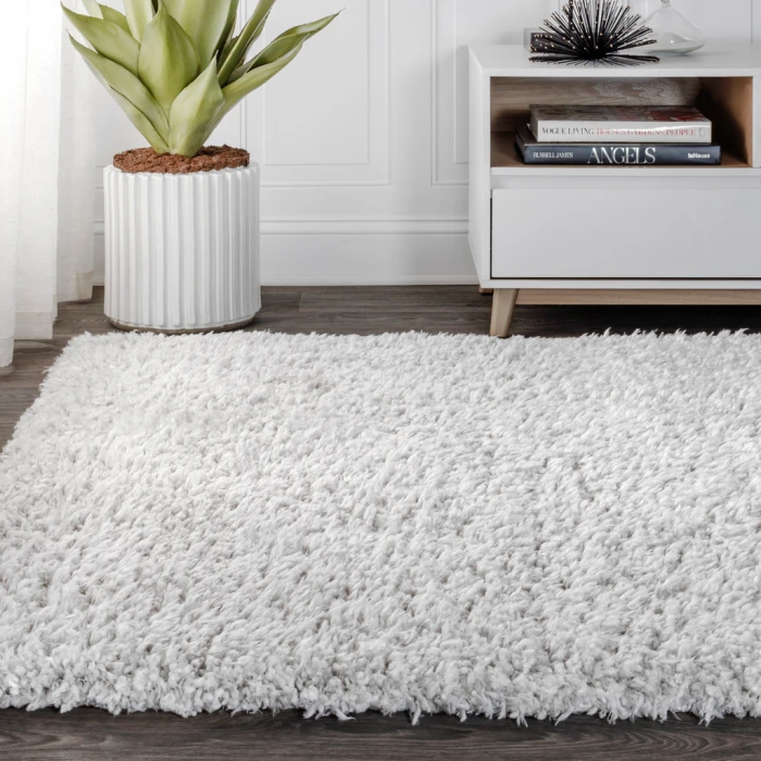 Aydin Plush Shag Mingled Gray/Ivory 3 ft. x 5 ft. Area Rug