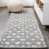 Jonathany Amalfi Coast AMC107A Light Gray/Ivory Area Rug 2 ft. 3 in. X 8 ft. Runner