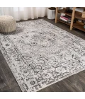 Denia Ornate Geometric Medallion Dark Gray 4 ft. x 6 ft. Area Rug