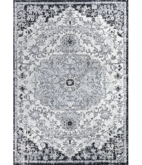 Anaise Ornate Boho Medallion Gray/Black/Cream 4 ft. x 6 ft. Area Rug