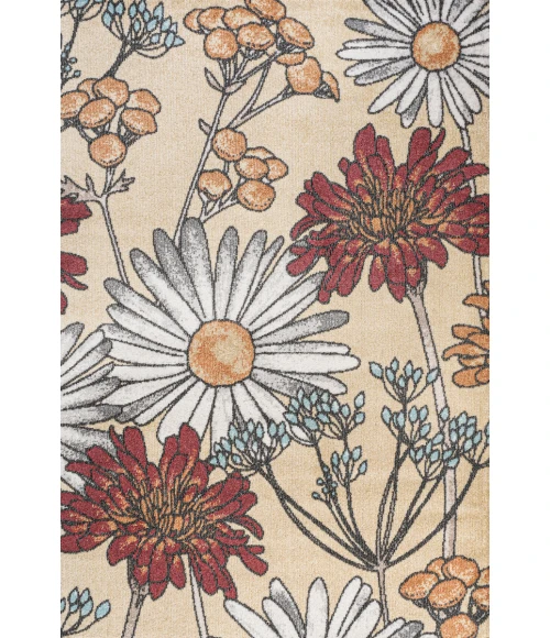 Dizi Modern Botanical Wildflower Yellow/Ivory/Red 4 ft. x 6 ft. Area Rug