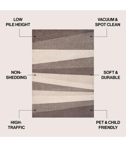 Jonathan Y DAZZLE Beige DZC101C 2ft.-11in. X 4ft.-11in. Rect. Rug
