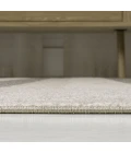 Jonathan Y DAZZLE Beige DZC101C 2ft.-11in. X 4ft.-11in. Rect. Rug