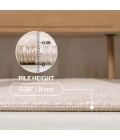 Jonathan Y DAZZLE Beige DZC101C 2ft.-11in. X 4ft.-11in. Rect. Rug