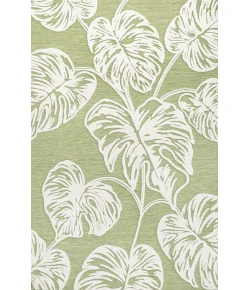 Jonathany Hawaii HWC100D Light Green/Ivory Area Rug 3 ft. 11 in. X 6 ft. Rectangle