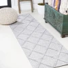 Jonathany Ibiza IBZ101C Light Gray Area Rug 2 ft. 2 in. X 8 ft. Runner