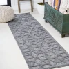 Jonathany Ibiza IBZ102A Dark Gray Area Rug 2 ft. 2 in. X 8 ft. Runner