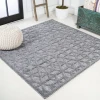 Jonathany Ibiza IBZ102A Dark Gray Area Rug 5 ft. 3 in. X 5 ft. 3 in. Square