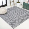 Jonathany Ibiza IBZ103A Dark Gray Area Rug 5 ft. 3 in. X 5 ft. 3 in. Square