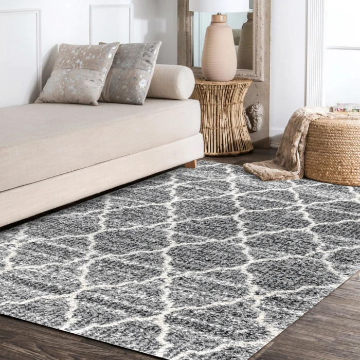 Susa Ogee Moroccan Trellis Shag Light Grey/Ivory 5 ft. x 8 ft. Area Rug