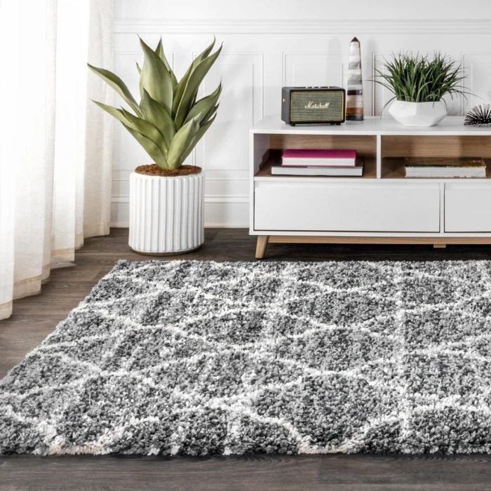 Susa Ogee Moroccan Trellis Shag Light Grey/Ivory 5 ft. x 8 ft. Area Rug