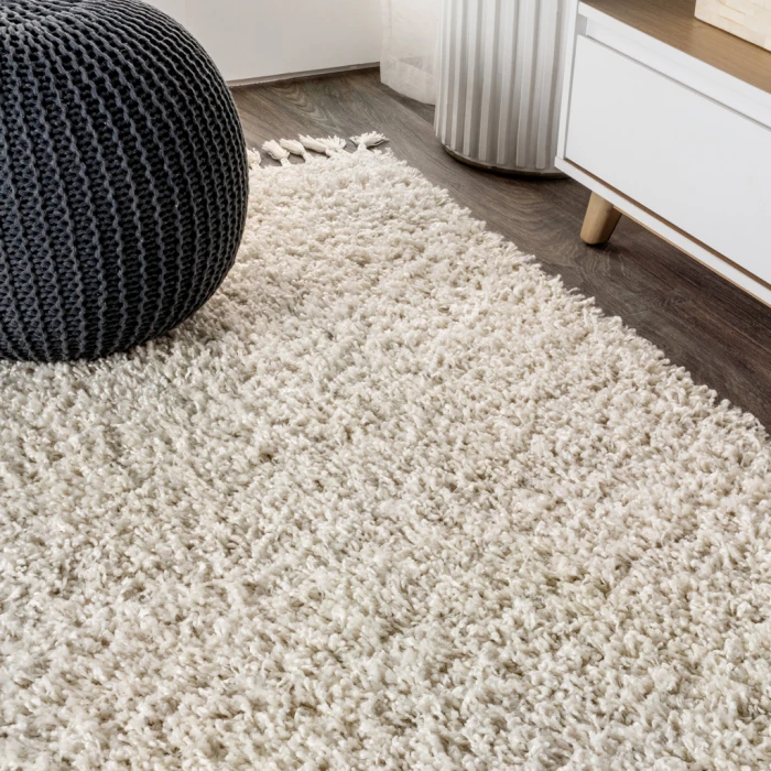 Mercer Shag Plush Tassel Cream 4 ft. x 6 ft. Area Rug