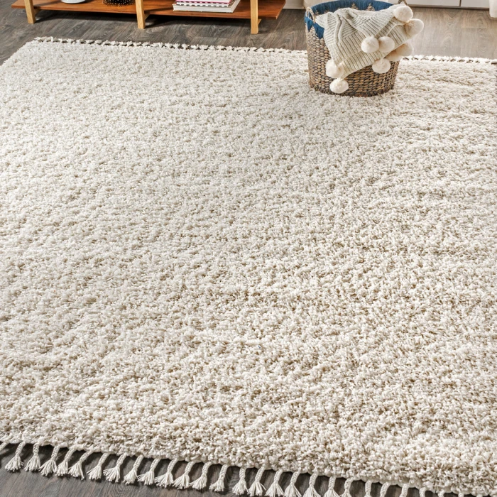Mercer Shag Plush Tassel Cream 4 ft. x 6 ft. Area Rug