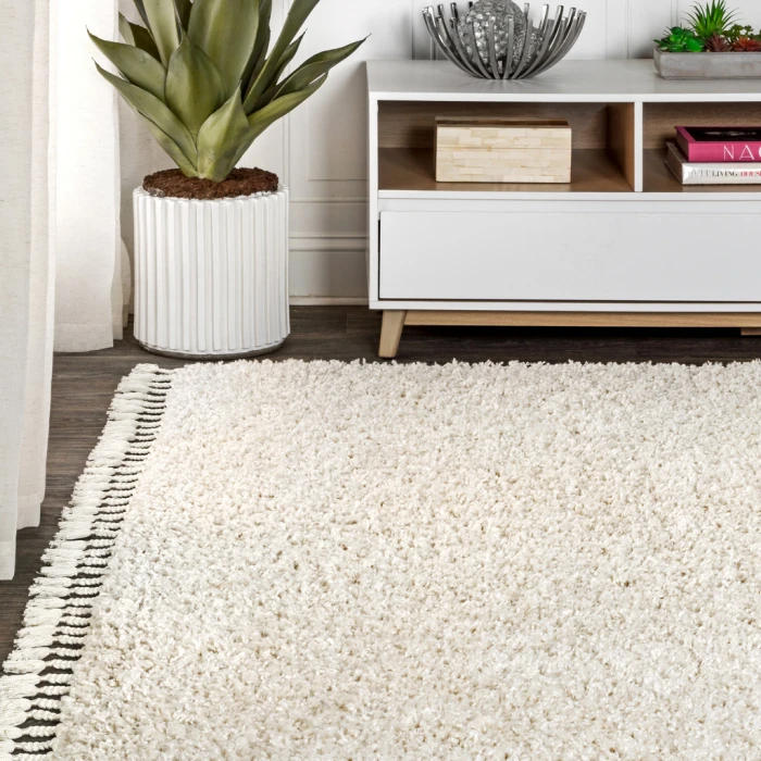 Mercer Shag Plush Tassel Cream 4 ft. x 6 ft. Area Rug