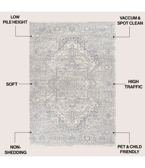 Jonathan Y MODERN PERSIAN Cream MDP100C 4ft. X 6ft. Rect. Rug