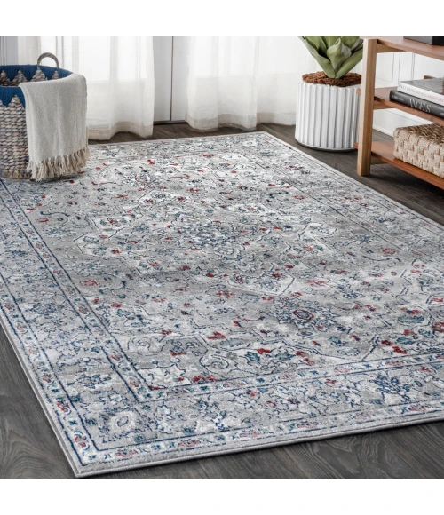 Modern  Vintage Medallion Light Grey/ Multi 4 ft. x 6 ft. Area Rug