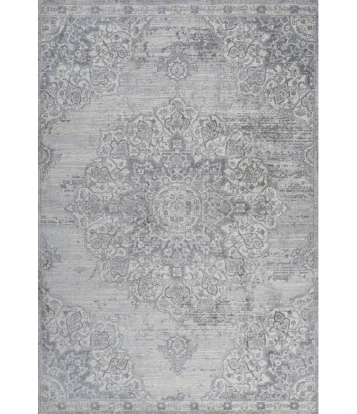 Modern  Vintage Moroccan Medallion Light Gray 8 ft. x 10 ft. Area Rug