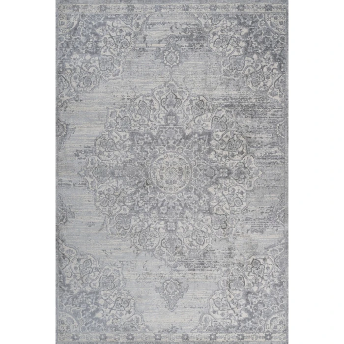 Modern  Vintage Moroccan Medallion Light Gray 4 ft. x 6 ft. Area Rug