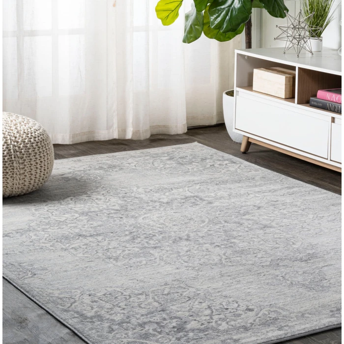 Modern  Vintage Moroccan Medallion Light Gray 4 ft. x 6 ft. Area Rug