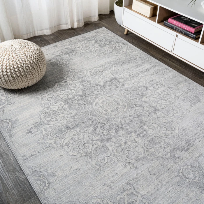 Modern  Vintage Moroccan Medallion Light Gray 4 ft. x 6 ft. Area Rug