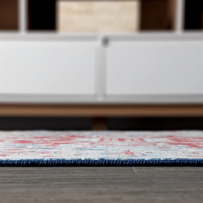 Modern  Vintage Medallion Red/Navy 3 ft. x 5 ft. Area Rug