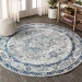 Jonathany Modern Persian MDP106A Light Grey/Blue Area Rug 6 ft. 7 in. X 6 ft. 7 in. Round