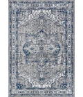 Modern  Vintage Medallion Light Grey/Navy 4 ft. x 6 ft. Area Rug
