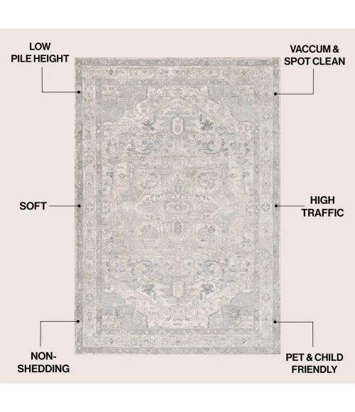 Jonathan Y MODERN PERSIAN Cream MDP106E 4ft. X 6ft. Rect. Rug