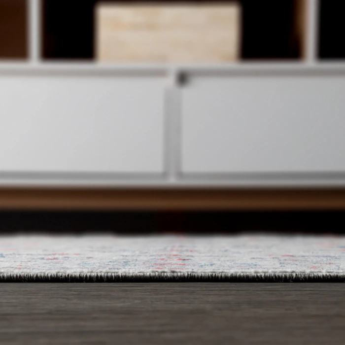 Modern  Vintage Light Grey/Red 4 ft. x 6 ft. Area Rug