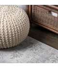 Modern  Vintage Medallion Light Gray 4 ft. x 6 ft. Area Rug