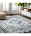 Indhira Ornate Medallion Persian Blue/Gray 4 ft. x 6 ft. Area Rug