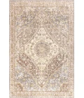 Petras Modern Ornate Medallion Gray/Brown 4 ft. x 6 ft. Area Rug