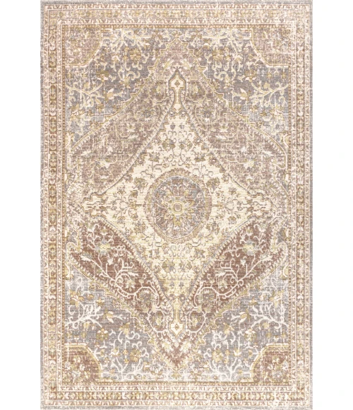 Petras Modern Ornate Medallion Gray/Brown 4 ft. x 6 ft. Area Rug