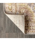 Petras Modern Ornate Medallion Gray/Brown 4 ft. x 6 ft. Area Rug