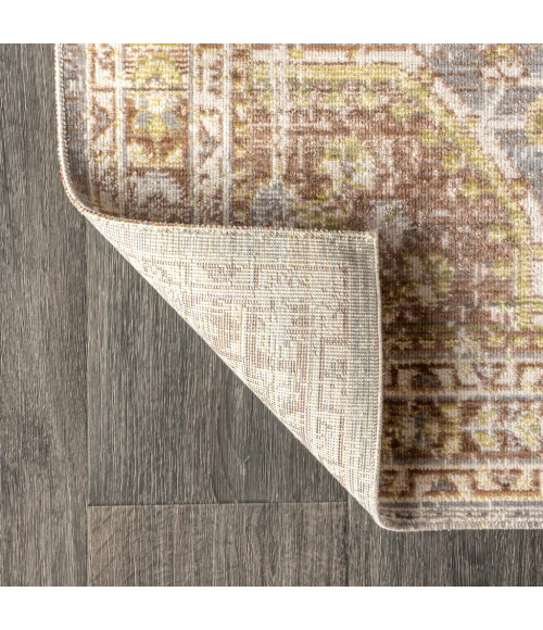 Petras Modern Ornate Medallion Gray/Brown 4 ft. x 6 ft. Area Rug