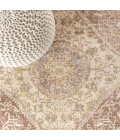 Petras Modern Ornate Medallion Gray/Brown 4 ft. x 6 ft. Area Rug