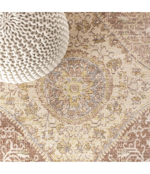 Petras Modern Ornate Medallion Gray/Brown 4 ft. x 6 ft. Area Rug